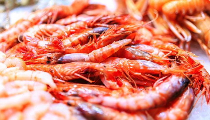gamberi freschi come riconoscerli