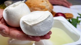 Mozzarelle fresche nel palmo della mano