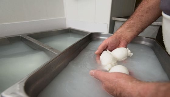 Casaro produce le mozzarelle in azienda