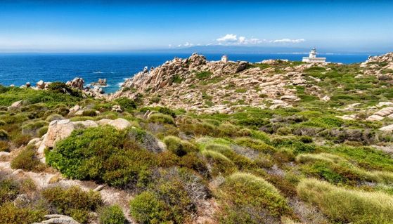 Vista panoramica della costa sarda, una delle blue zone del mondo