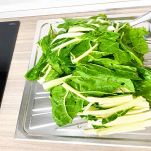 Bietole fresche lavate e pulite