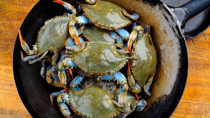 Padella con granchi blu pronti per essere cucinati
