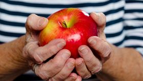 Meno nutrienti in frutta e verdura