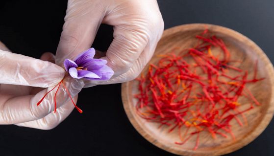 Zafferano separato dal fiore da una donna