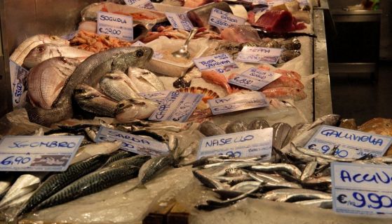 Pescato di pesce azzurro mediterraneo sul bancone del mercato ittico con ghiaccio