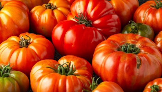 Pomodoro Cuore di Bue