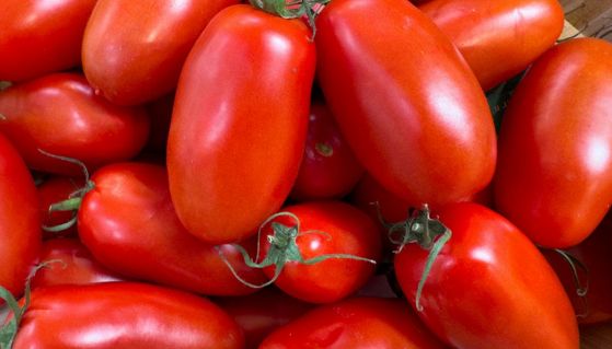 Pomodoro San Marzano