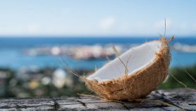 cocco come capire se e fresco
