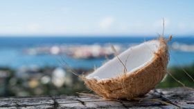 cocco come capire se e fresco