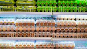 Confezioni di uova sullo scaffale del supermarket