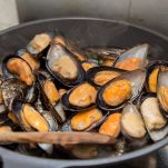 Cozze che cuociono in padella