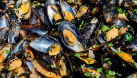 Sautè di cozze nere cotte con prezzemolo