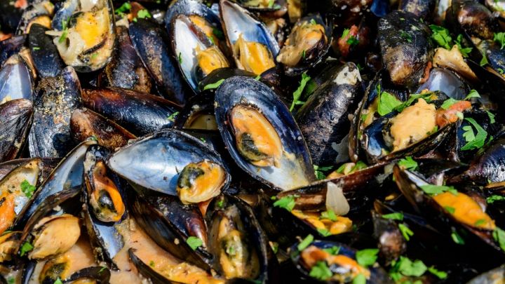 Sautè di cozze nere cotte con prezzemolo