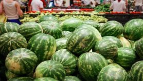 Supermercato con tante angurie in primo piano e persone sullo sfondo