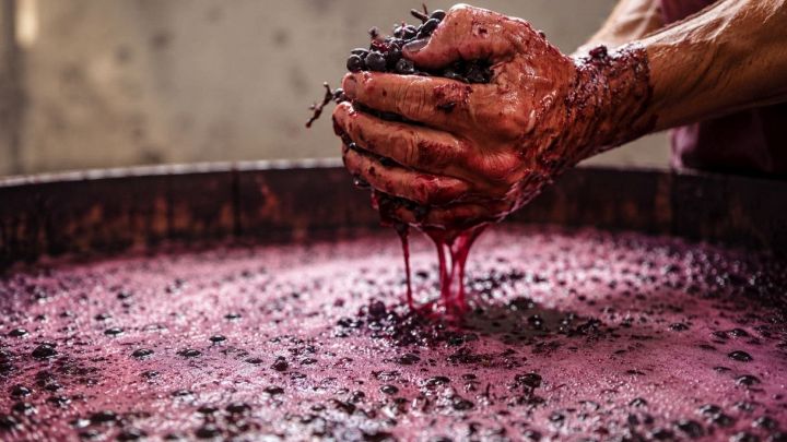Il vino cambierà per sempre e non possiamo farci niente