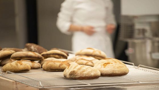 Laboratorio del panificio con tante pagnotte di pane fresco