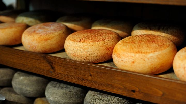 Forme di formaggio durante la maturazione