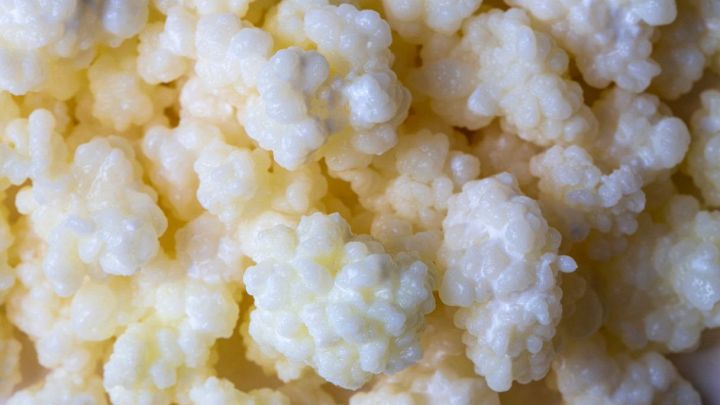Kefir