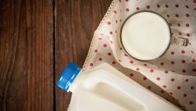 Una tanica di latte vaccino riversa su un tavolo in legno con un bicchiere pieno