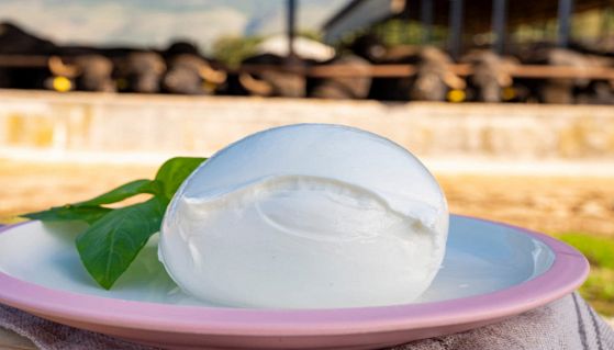 Piatto con mozzarella e basilico