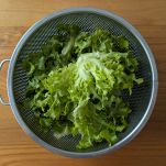 scarola lavata