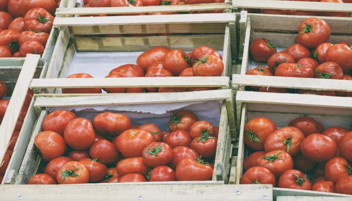 Cassette di pomodori freschi al mercato
