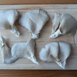 funghi puliti sul tagliere