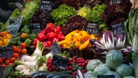 Dettaglio di un banco con verdura assortita al supermercato tra cui peperoni, zucchine, ravanelli