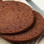 Dischi di pan di Spagna al cacao