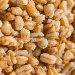 Farro cotto visto da vicino