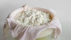 Composto fermentato di ricotta e yogurt in una bacinella
