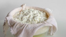 Composto fermentato di ricotta e yogurt in una bacinella