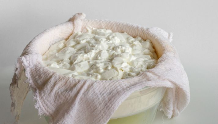 Composto fermentato di ricotta e yogurt in una bacinella