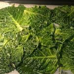 Foglie di cavolo verza cuociono in forno