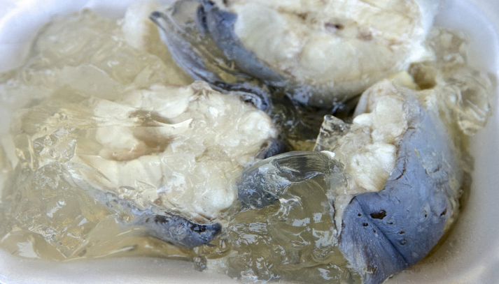 Anguilla in gelatina chiamata Jellied eels