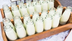 Bottiglie di vetro con il latte
