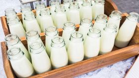 Bottiglie di vetro con il latte