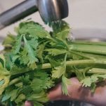 lavare-sedano