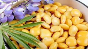Ciotola con lupini, fiori viola e foglie verdi