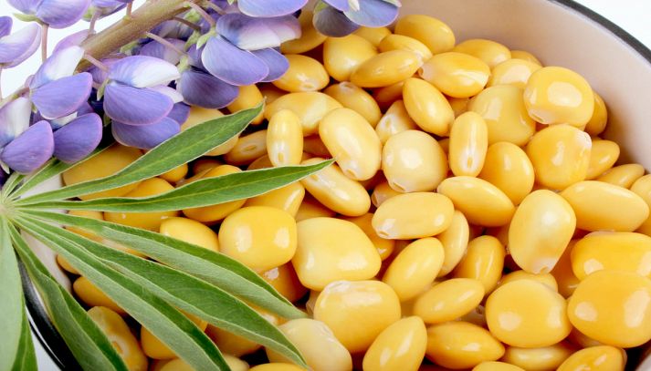 Ciotola con lupini, fiori viola e foglie verdi