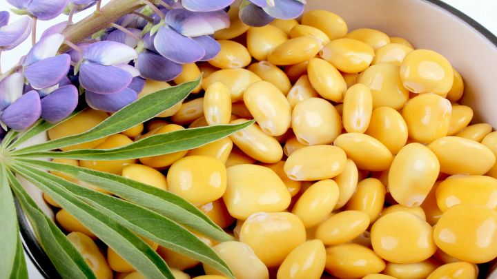 Ciotola con lupini, fiori viola e foglie verdi