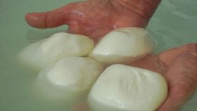 Mozzarella