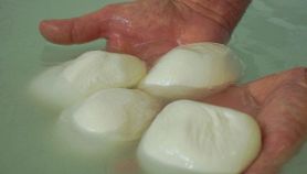 Mozzarella