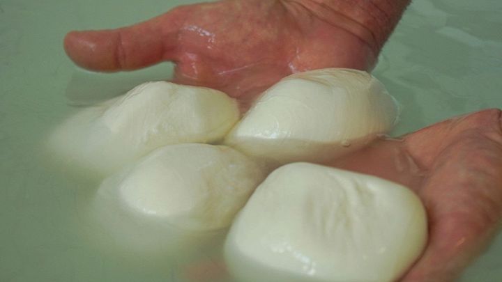 Mozzarella