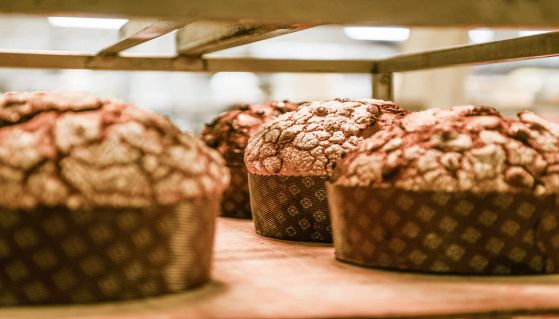 Panettoni appena sfornati in pasticceria