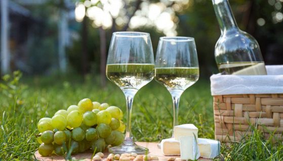 Due calici di vino bianco, uva fresca e formaggio vicino ad un cestino da pic-nic sul prato