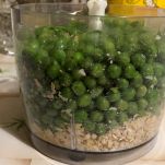 Boccale del tritatutto con piselli e fiocchi d'avena