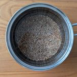 Lessare le lenticchie in acqua bollente