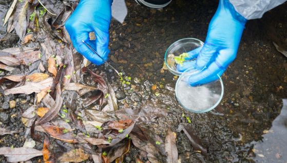 Un tecnico incaricato preleva campioni di acqua e terreno circostante da una falda