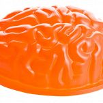 stampo di silicone cervello